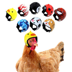 Zaruatu chicken helmet adjustable-fit demonstrates secure, comfortable wear for small pets