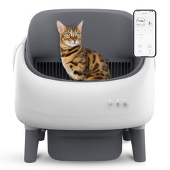 ZeaCotio open-top litter box front view for easy access and larger-cat comfort