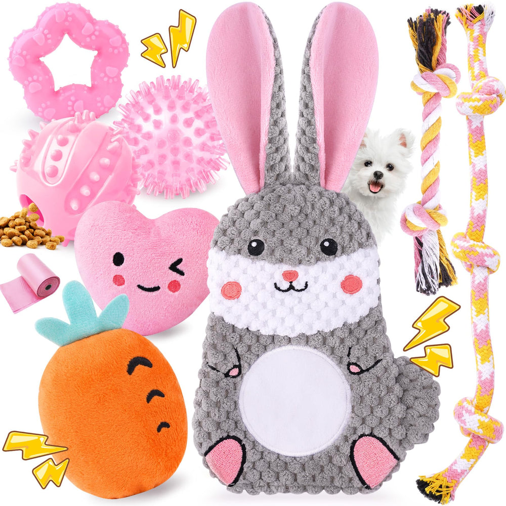 Zeaxuie Pink Puppy Toy Set packaging showcases variety for small dogs' playtime.