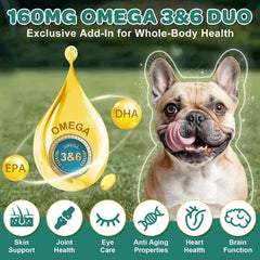 ZEBORA Probiotics for Dogs bottle label displays 6B CFUs and 10 strains for robust gut health