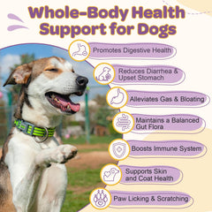 ZEBORA dog probiotics chews close-up showing duck flavor for easy daily servings.