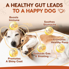 ZEBORA dog probiotics chicken flavor treat close-up