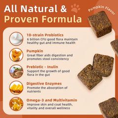 ZEBORA Probiotics for Dogs pumpkin-flavored chews that support gut health and taste appeal.