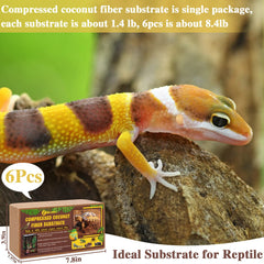 ZeeDix coco coir brick expands when soaked for terrarium setup