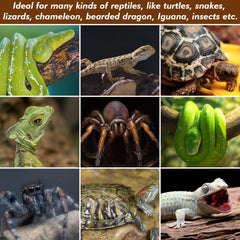 ZeeDix reptile mat rolls cut to size for custom layouts