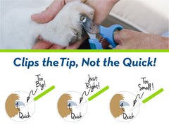 Zen Clipper 3-5mm hole demonstrates sizing for medium dogs during at-home grooming.