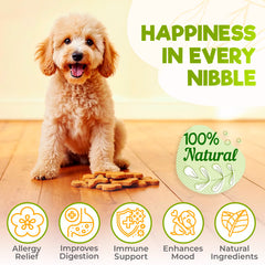 ZENO Dog Allergy Chews chicken-flavor treats highlight tasty relief that supports itchy skin comfort.