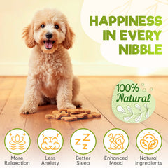 ZENO calming chews beef bites close-up show palatable calming treats