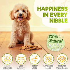 ZENO dog calming chews beef treats closeup highlighting tasty, easy-to-administer anxiety relief.