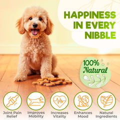 ZENO hip and joint chews with MSM and green-lipped mussel ingredients