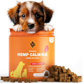 ZENO hemp calming chews for dogs in a beef bottle helps calm anxious dogs during daily routines.