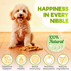 ZENO Probiotics for Dogs Chews chicken flavor bites ideal for easy administration.