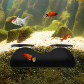 Zenquark underground tunnel cave viewing provides shelter and easy viewing for fish.