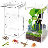 ZENWUKONG Jumping Spider Enclosure 3x3x6 offers a compact, safe habitat for tiny arachnids.