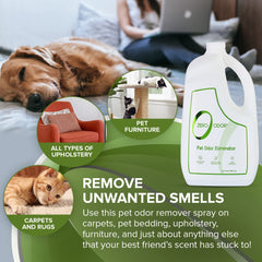 Zero Odor on-surface spray demonstrates quick freshness for furniture and fabrics.