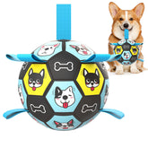 ZestPulse 6-inch dog ball full view for interactive outdoor fetch with medium and large dogs
