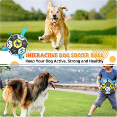ZestPulse dog ball water play for buoyant pool or lake fun.
