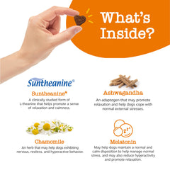 Zesty Paws Calming Chews ingredients label highlights Suntheanine and Ashwagandha for calm moments.