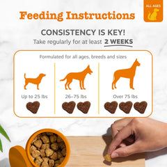 Zesty Paws Dog Allergy Relief DE111 probiotics closeup signals gut-friendly balance.