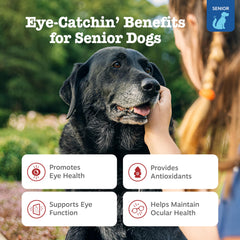 Zesty Paws soft chews close-up — convenient daily eye health support
