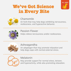 Zesty Paws Ashwagandha Sensoril ingredient label supports canine calm.