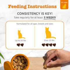 Zesty Paws Hairball Bites bacon-flavor chews appeal to cats during daily routine