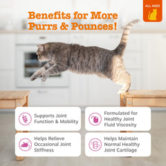 Zesty Paws Hip & Joint Bites cat treats serving demonstrates tasty flavor for cats.