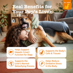 Zesty Paws Liver Support Silactive milk thistle close-up highlights herbal liver support