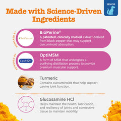Zesty Paws Mobility Bites dog chewing illustrating easy daily supplementation