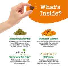 Zesty Paws Mobility Bites ingredient label with glucosamine and MSM.