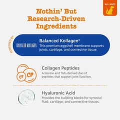 Closeup of Zesty Paws chews highlighting collagen texture and joint wellness focus.