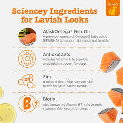 Zesty Paws Omega 3 joint-support image highlights easier movement for dogs.