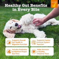 Zesty Paws Probiotics soft chews closeup highlighting tasty, gut-friendly treats.