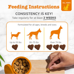 Zesty Paws Probiotics immune-support graphic illustrating immune system benefits.