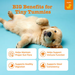 Zesty Paws three-strain blend supports digestion and gut flora.