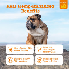 Zesty Paws Salmon Omega Oil Hemp on food shows convenient daily administration for healthier coats.