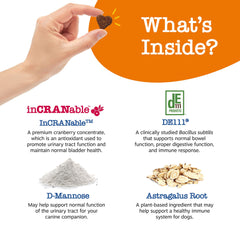 Zesty Paws Senior Cranberry supplement packaging highlighting senior dog wellness and bladder care.