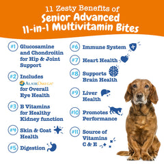Zesty Paws Senior Dog Multivitamin Treats chews-closeup highlighting tasty senior nutrition for joints