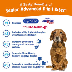 Zesty Paws Senior Dog Multivitamin Treats dog sniffing bowl highlights joint and immune support.
