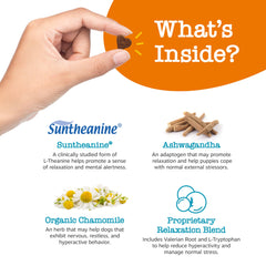 Zesty Paws Sensoril Ashwagandha section shows stress coping support for dogs.