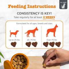 Zesty Paws Vet Strength smoked cheese flavor; chews aimed at itchy skin comfort potential.