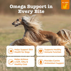 Dog enjoying Zesty Paws Omega-3 chews as a tasty daily snack