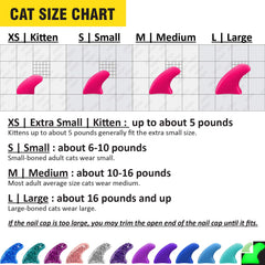 zetpo cat claw caps application tools demonstrates glue and applicators included for precise fitting