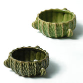 Zhilishu cactus-hamster-bowl engages pets and doubles as a cute cage accent