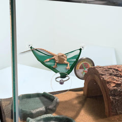 Zhuohai green triangular hammock mounted inside a terrarium for elevated lounging.