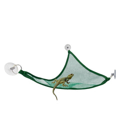 Zhuohai green hammock hung on glass tank to save vertical space.