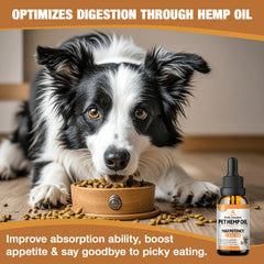 ZiehooGe hemp oil for dogs and cats adding to food demonstrates easy integration into routines.