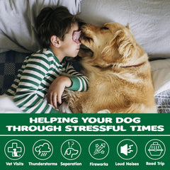 ziehooGe Calming Chews jar — convenient calming treats for travel and home.