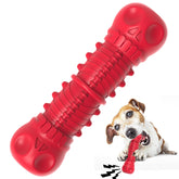 ZIKATON dog squeaky toy in natural rubber—durable for tough chewers during fetch.