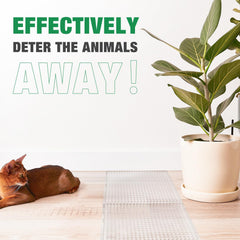 Zipcase humane-spikes closeup demonstrates gentle deterrence for pets